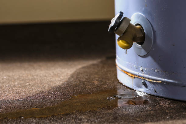 Best Water damage contractors near me  in Agoura Hills, CA
