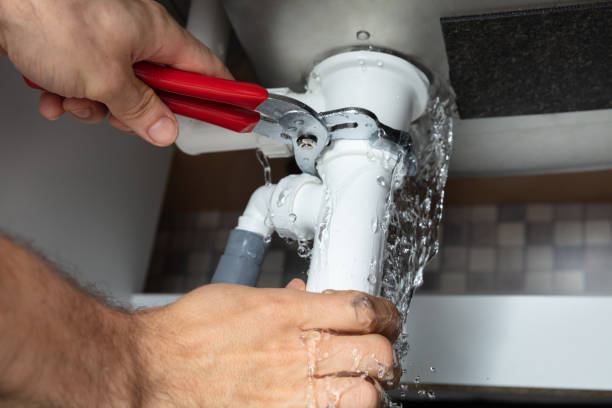 Best Ceiling water damage repair  in Agoura Hills, CA