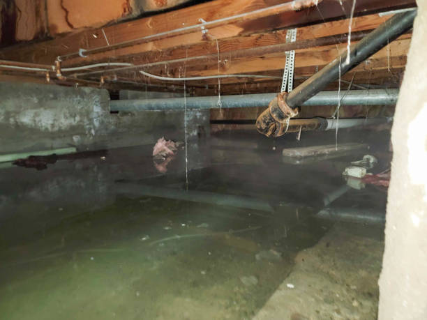 Local water damage restoration in CA