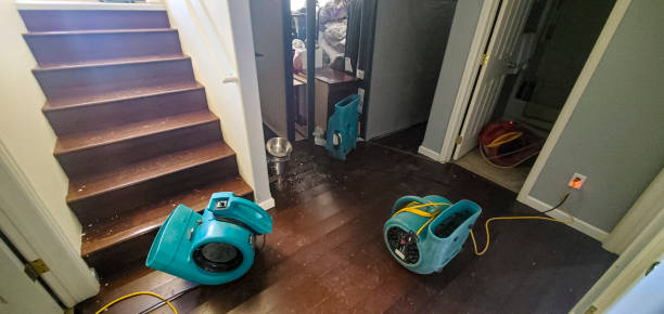 Best Professional water damage repair  in Agoura Hills, CA