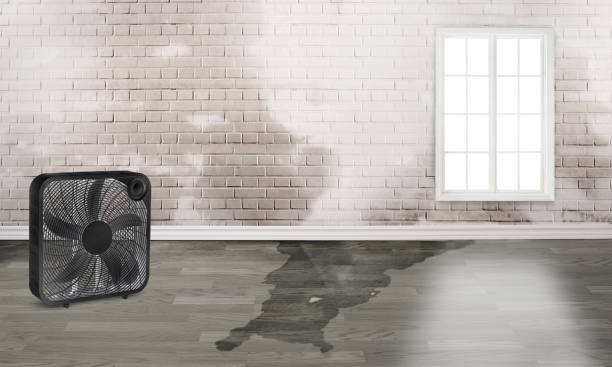 Best Water damage restoration mold remediation  in Agoura Hills, CA