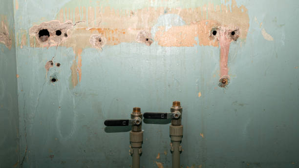Best Emergency water damage restoration  in Agoura Hills, CA