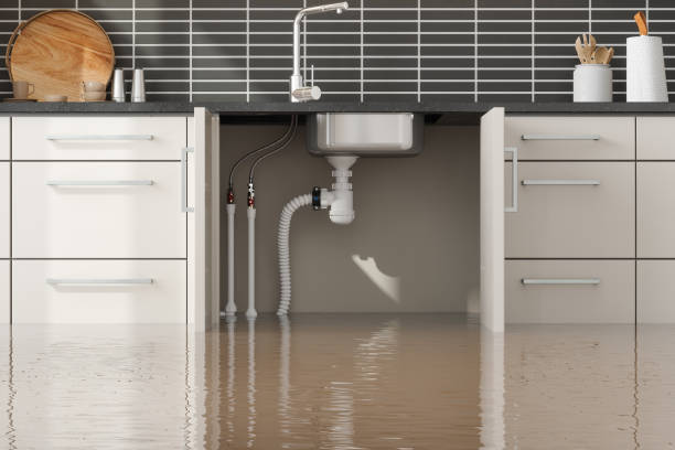Best Flood damage cleanup  in Agoura Hills, CA